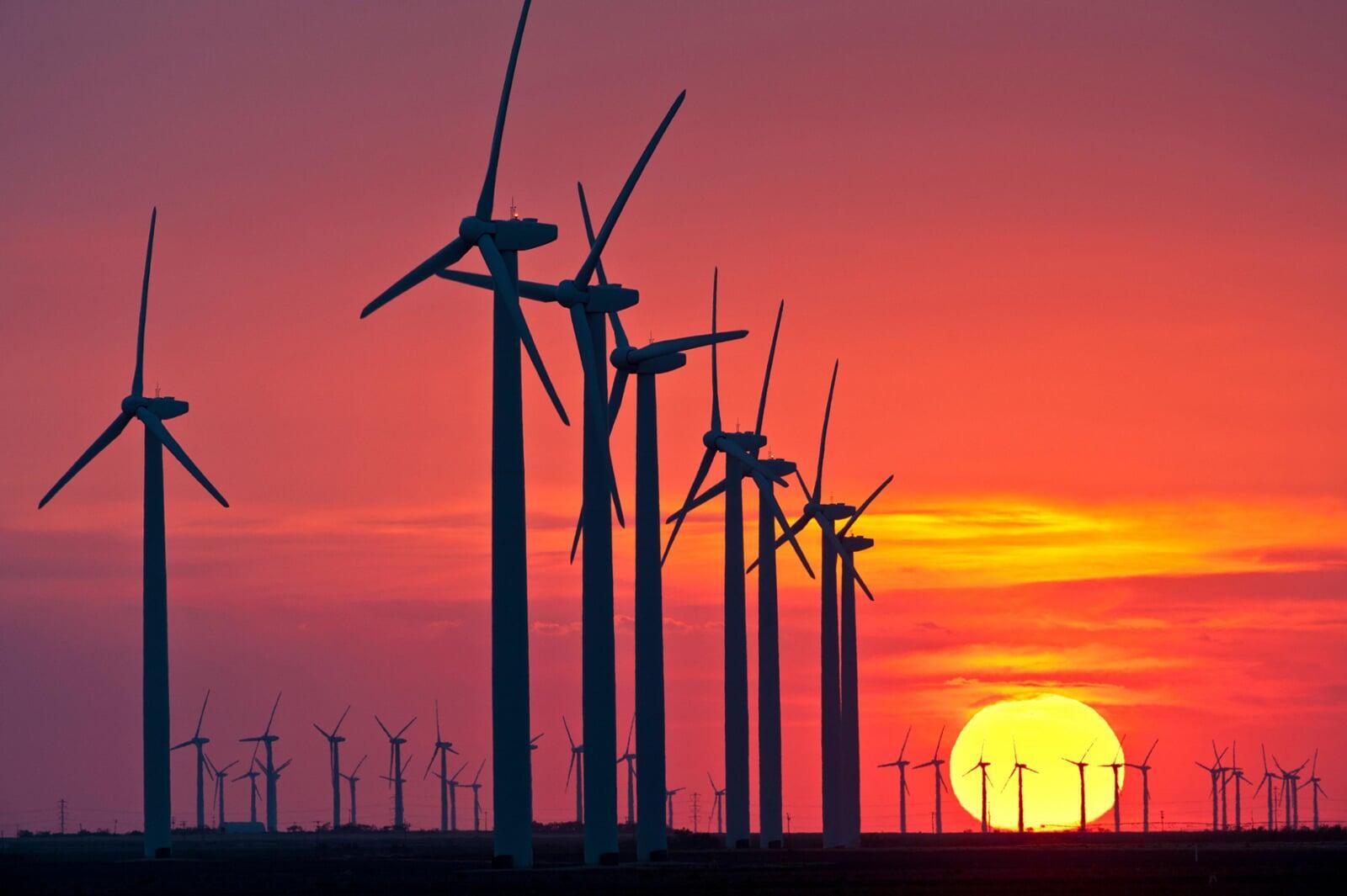 wind farm
